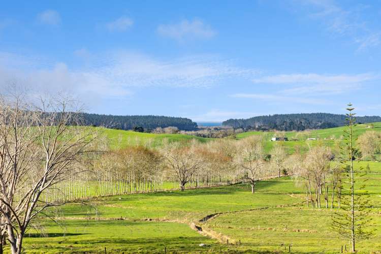 1500 Mangawhai Road Mangawhai_24