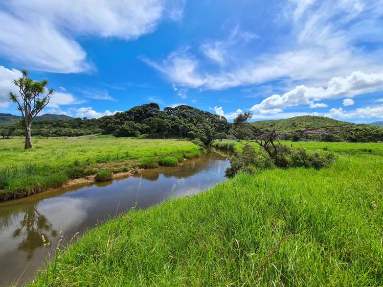 602 Port Charles Road Waikawau_8