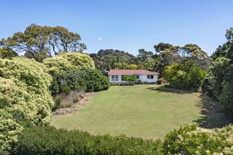 14b Greenslade Road Raglan_35