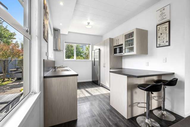 163 Simeon Street Spreydon_2