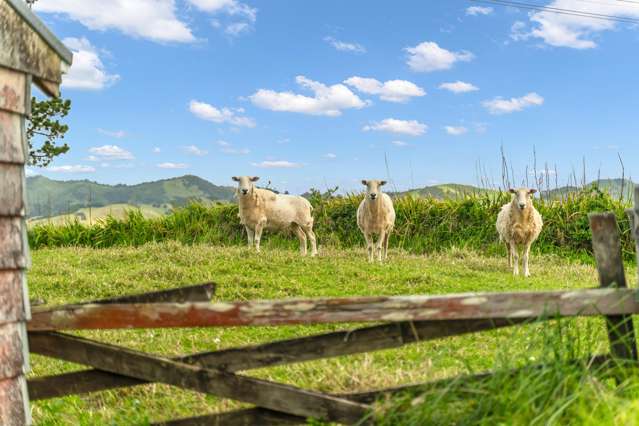 188 Porter Road Maungakaramea_2