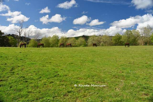 726 Paparoa Station Road Maungaturoto_2