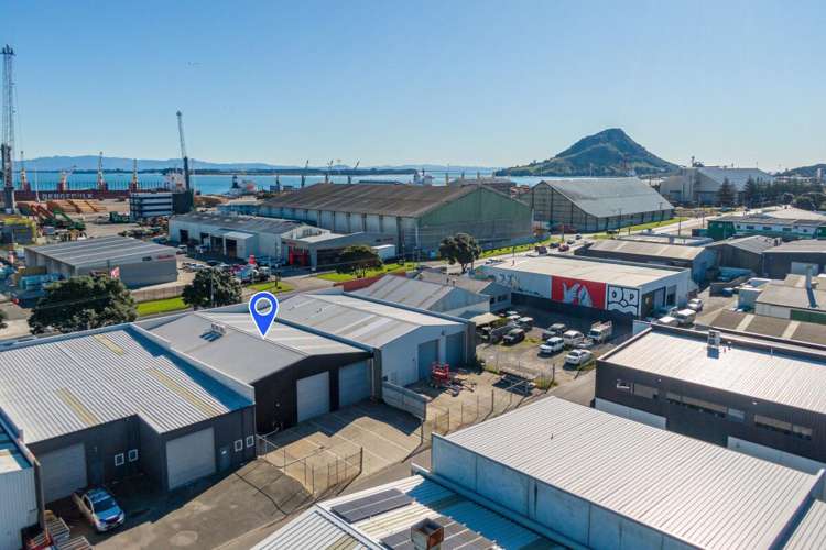 145 Totara Street Mount Maunganui_1