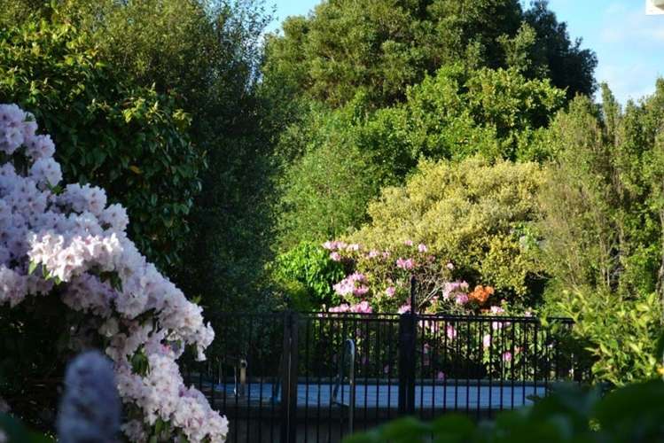 174 Kuratawhiti Street Woodside_18