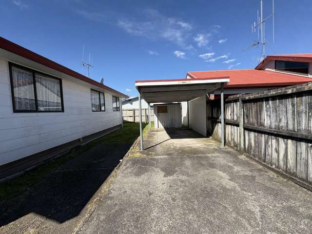 104A Firth Street Hamilton East_1