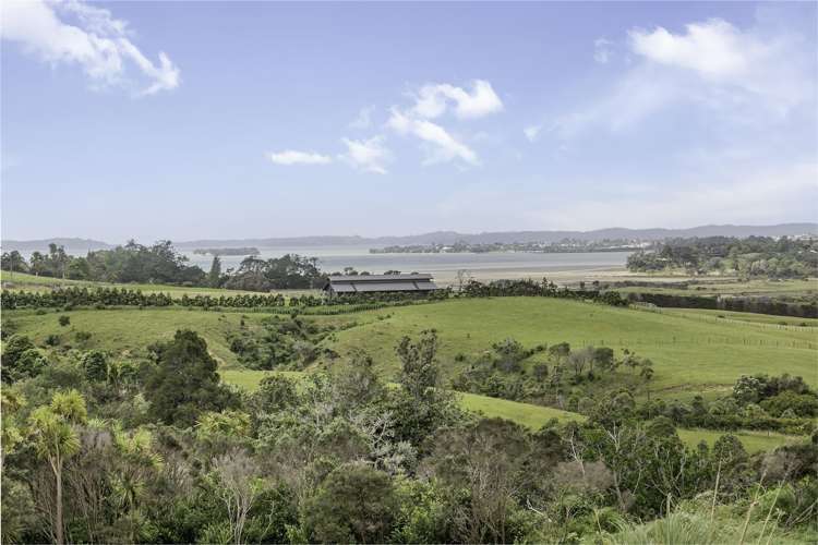 161 Broomfields Road Whitford_14