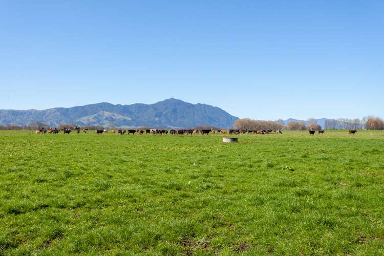 382 Tautiti Road Te Aroha_12