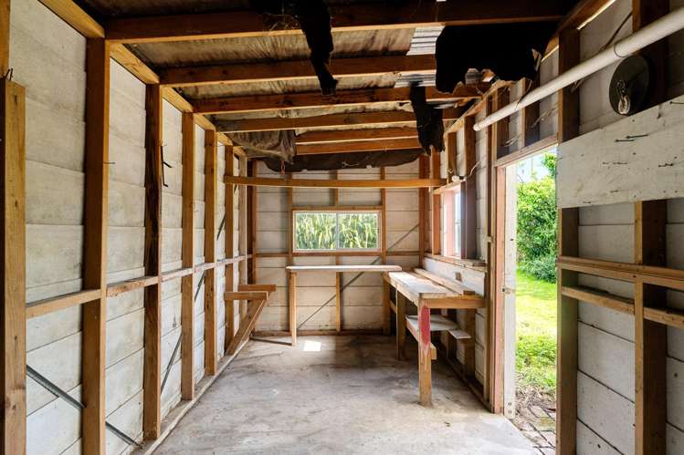 10 Hinaki Street Inner Kaiti_23