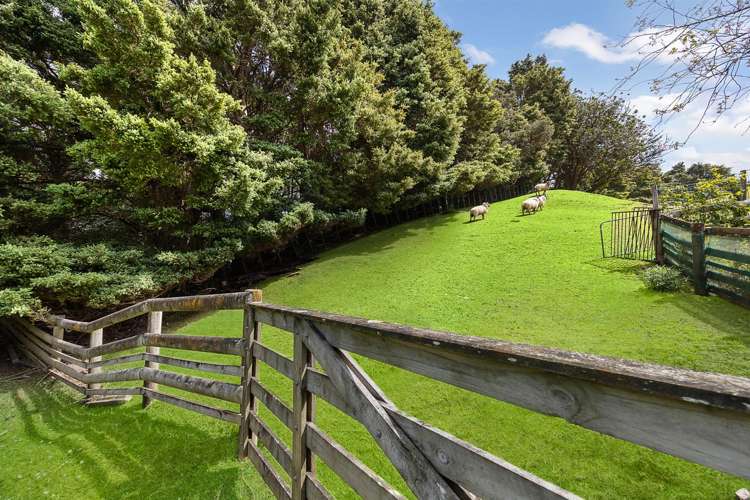 81 Taylor Road Waimauku_42