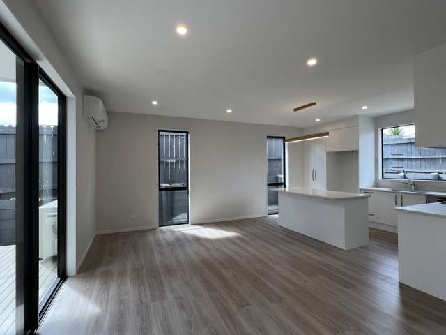 29D Bolton Street Blockhouse Bay_2