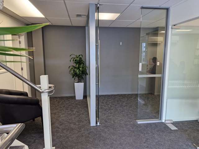 14B Knox Street Hamilton Central_3