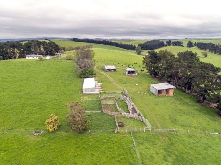 309 Ward Road St Andrews_0