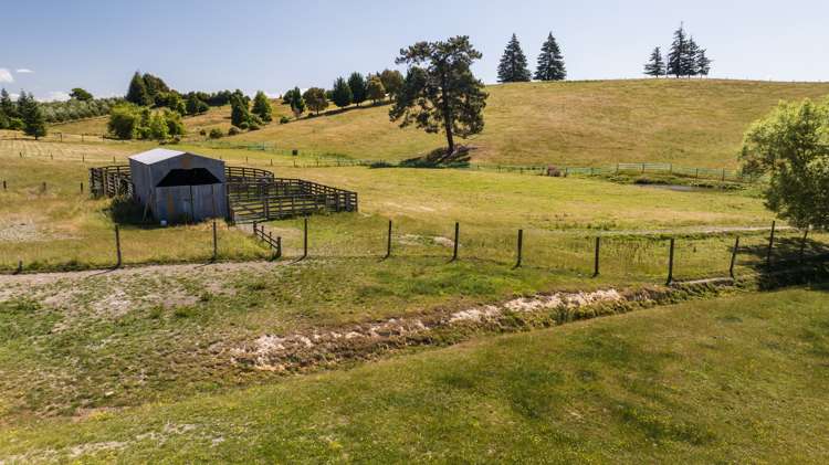 103 George Harvey Road Upper Moutere_5