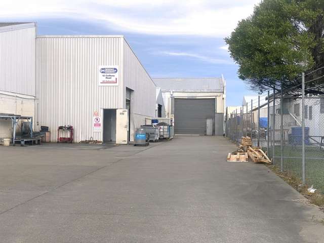 31 Carnegie Road Onekawa_1