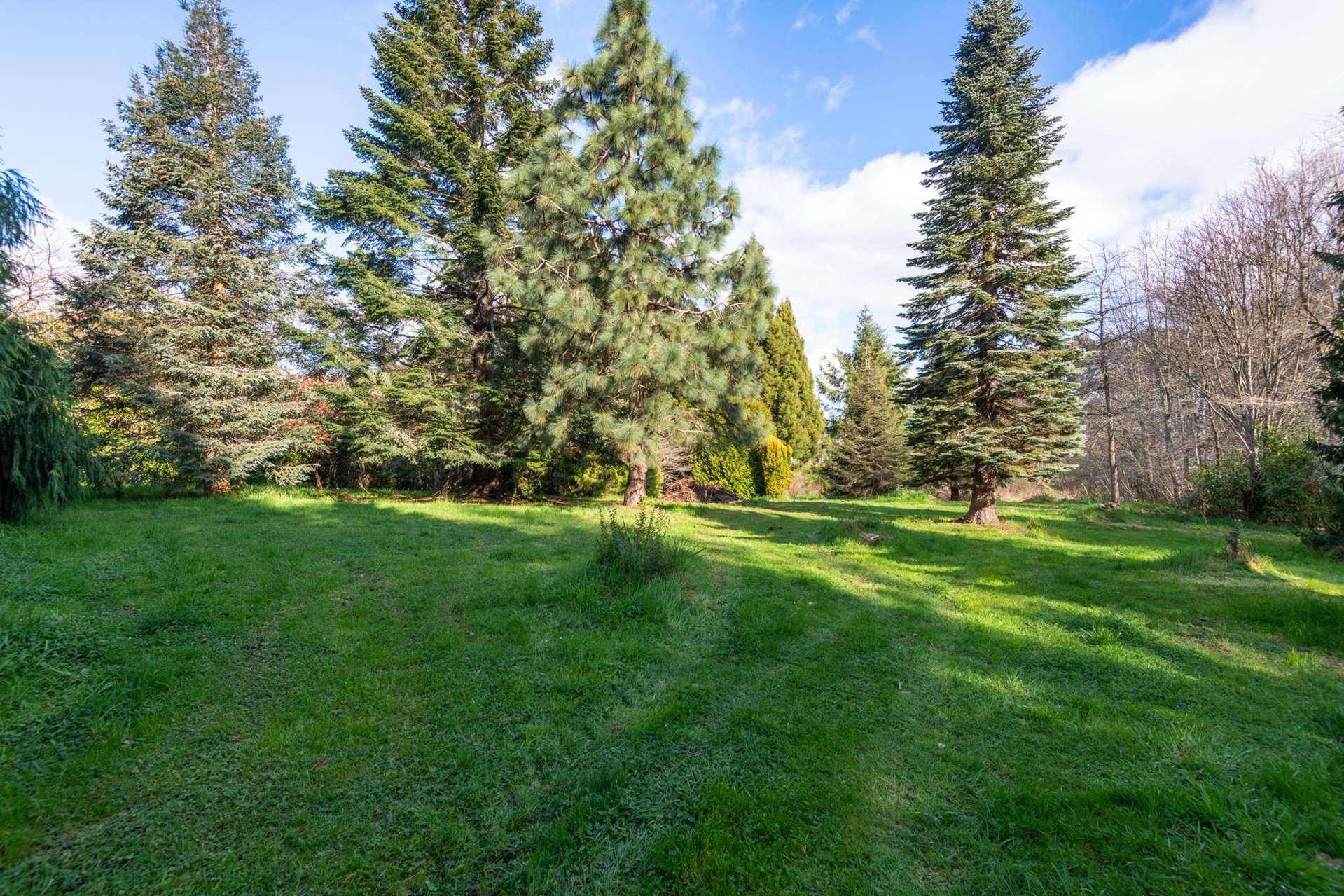 52 Edwards Street Kimbolton_0