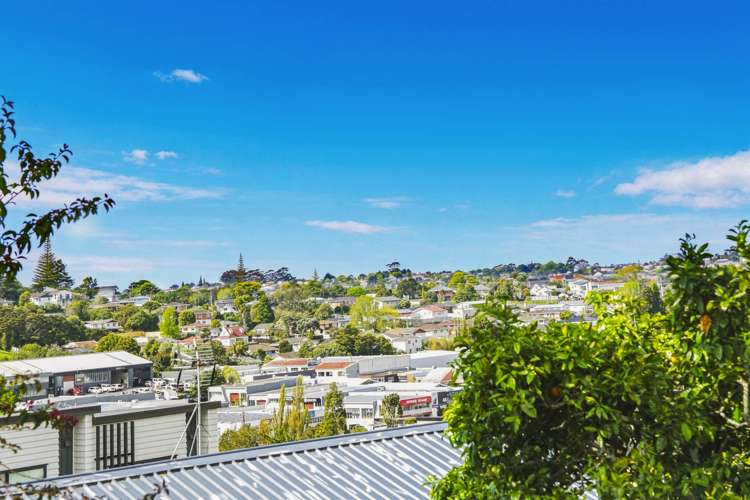 1/22 Ludlow Terrace Totara Vale_15