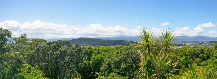 1 Heaton Terrace Brooklyn_20