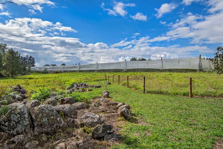 36 Springs Road Poroti_16