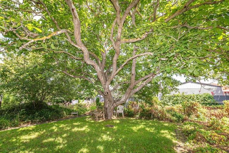 11 Field Street Aramoho_27