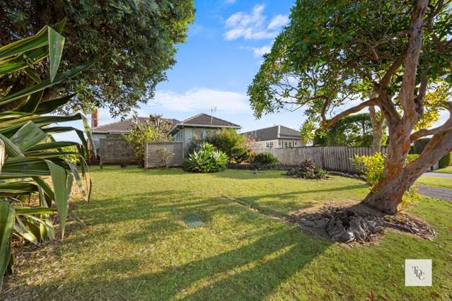 3 Andrew Road Howick_2
