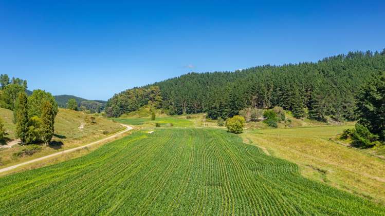 532 Waiatai Road Wairoa_16