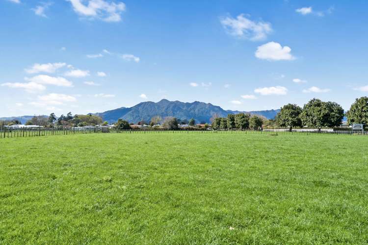 11a Lewis Street Waihou_10