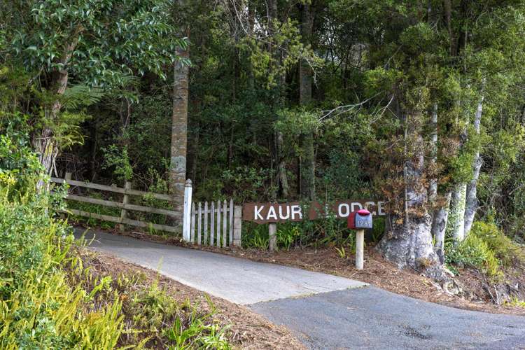 1287 Kaipara Coast Highway_3