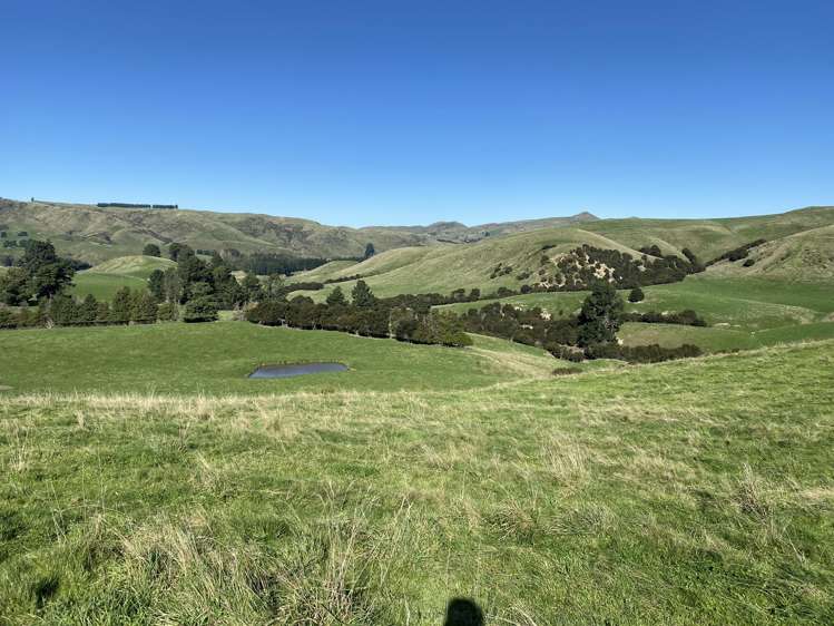 48 Heathfield Road Waipara_18