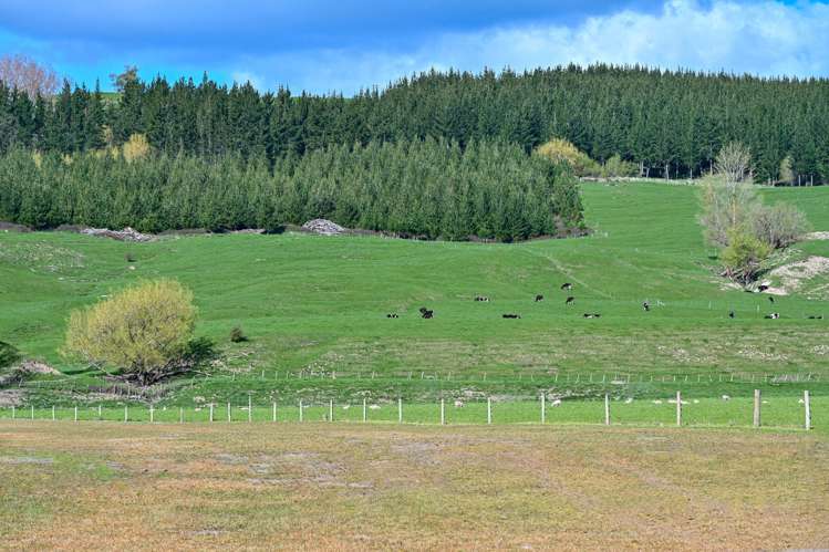 1269 Elsthorpe Road Patangata_28