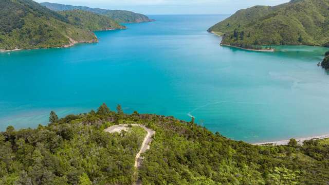 The best of both bush and beach