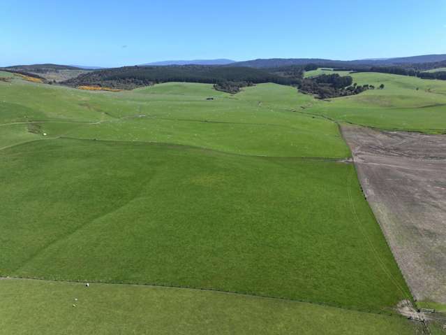 1595 Riverton Otautau Road Fairfax_2