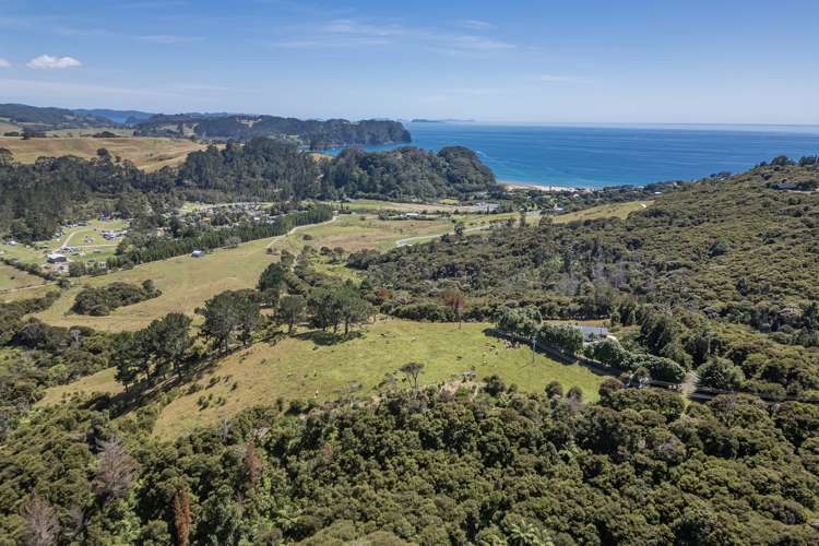 Lot 7/104 Taiwawe Lane Hot Water Beach_30