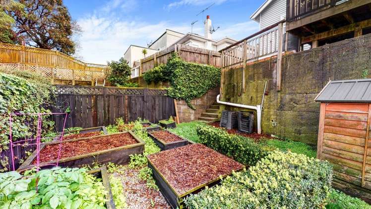 319 Adelaide Road Newtown_11