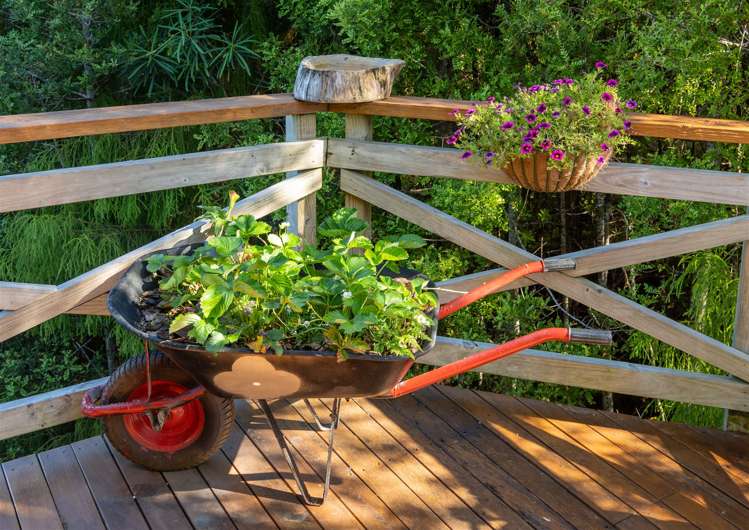 23 Rosella Road Opua_30