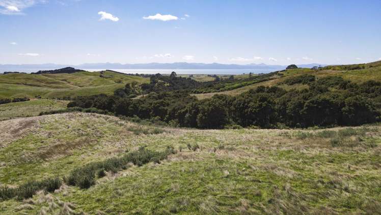 240b Esk Road Miranda_6