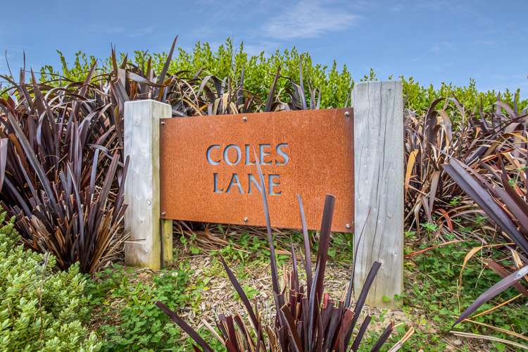 12 Coles Lane Rolleston_7