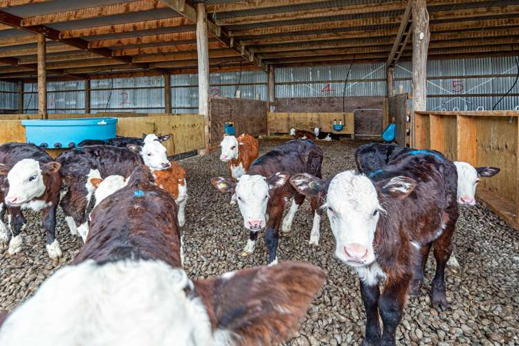 711 Hinds Highway Winslow_6