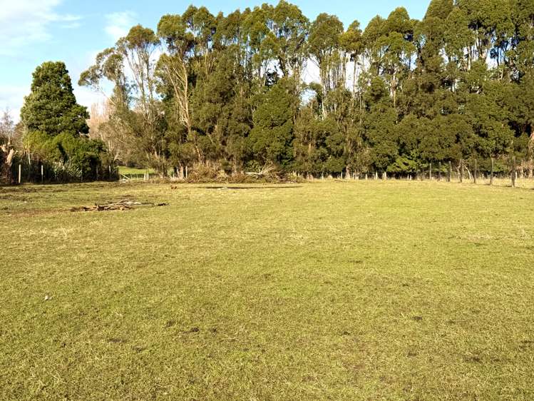 173 Drysdale Road Myross Bush_31