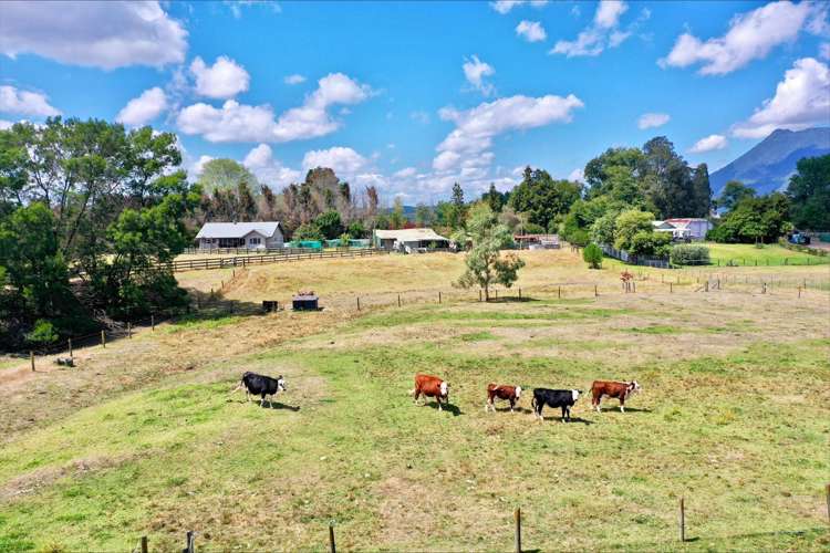 302b Kawerau Road Putauaki_15