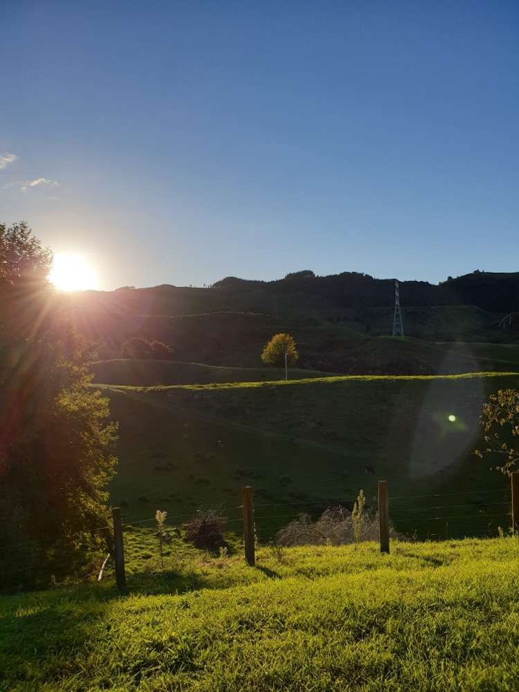 1034 Braemar Road Rotoma_12