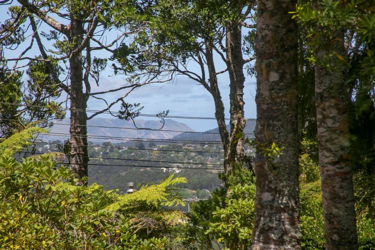 14 Westridge Road Titirangi_6