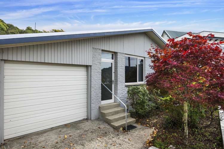 52a Royal Terrace Dunedin Central_1