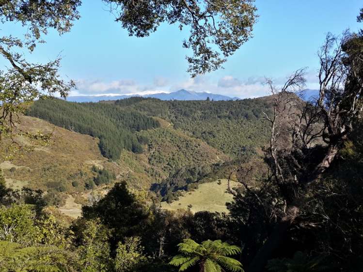 345 Bird Road Kahurangi National Park_9