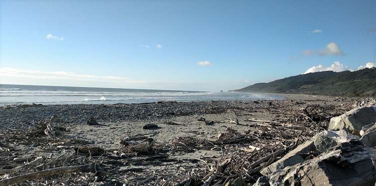 47 Nelson Quay Cobden_16