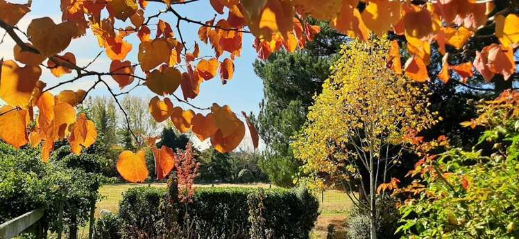 161 Island Road Kaiapoi_34