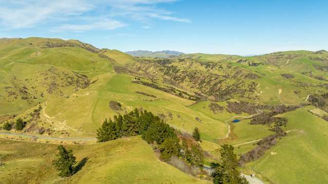 1246 Leader Road West Waiau_3