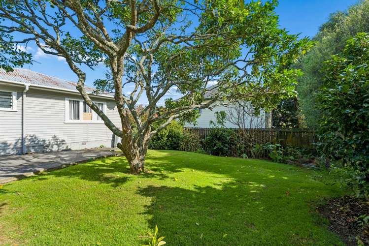 25A Selwyn Road Epsom_11