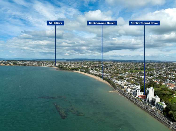 12/171 Tamaki Drive Kohimarama_15