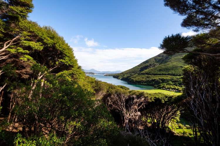 Lot 4 + 5 Te Aroha Bay, Otanerau Bay Marlborough Sounds_30