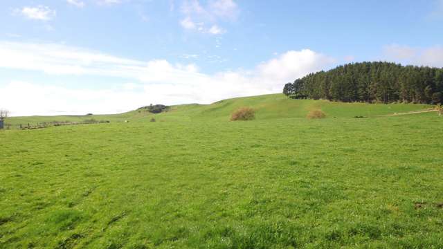 397 Old Taupo Road Putaruru_1